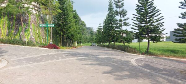 TANAH KAVLING EXCLUSIVE DI SAYAP SETIABUDI. KOMPLEK PONDOK HIJAU. LINGKUNGAN ASRI, PRIVATE DAN NYAMAN