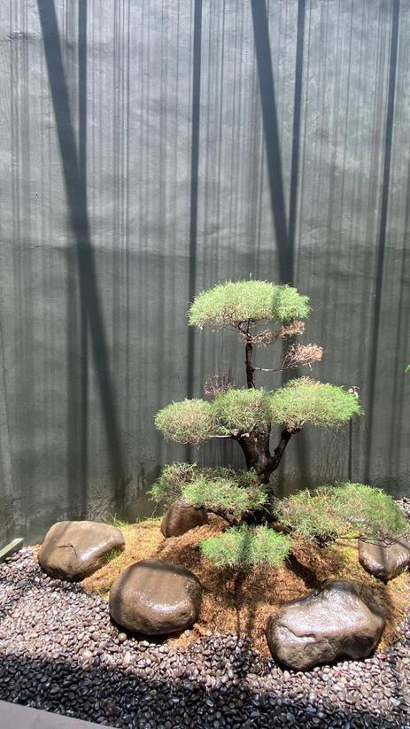 Rumah Baru Siap Huni Full Furnish Di Cisaranten Arcamanik Bandung