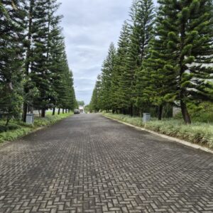DIJUAL TANAH KAVLING EXCLUSIVE DI PONDOK HIJAU BANDUNG UTARA DEKAT UPI, GEGERKALONG, SETIABUDI, SERSAN BAJURI.